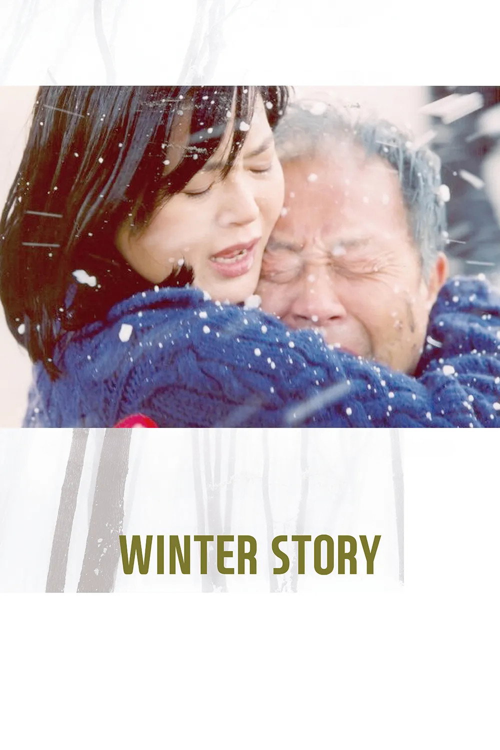 Winter Story cover