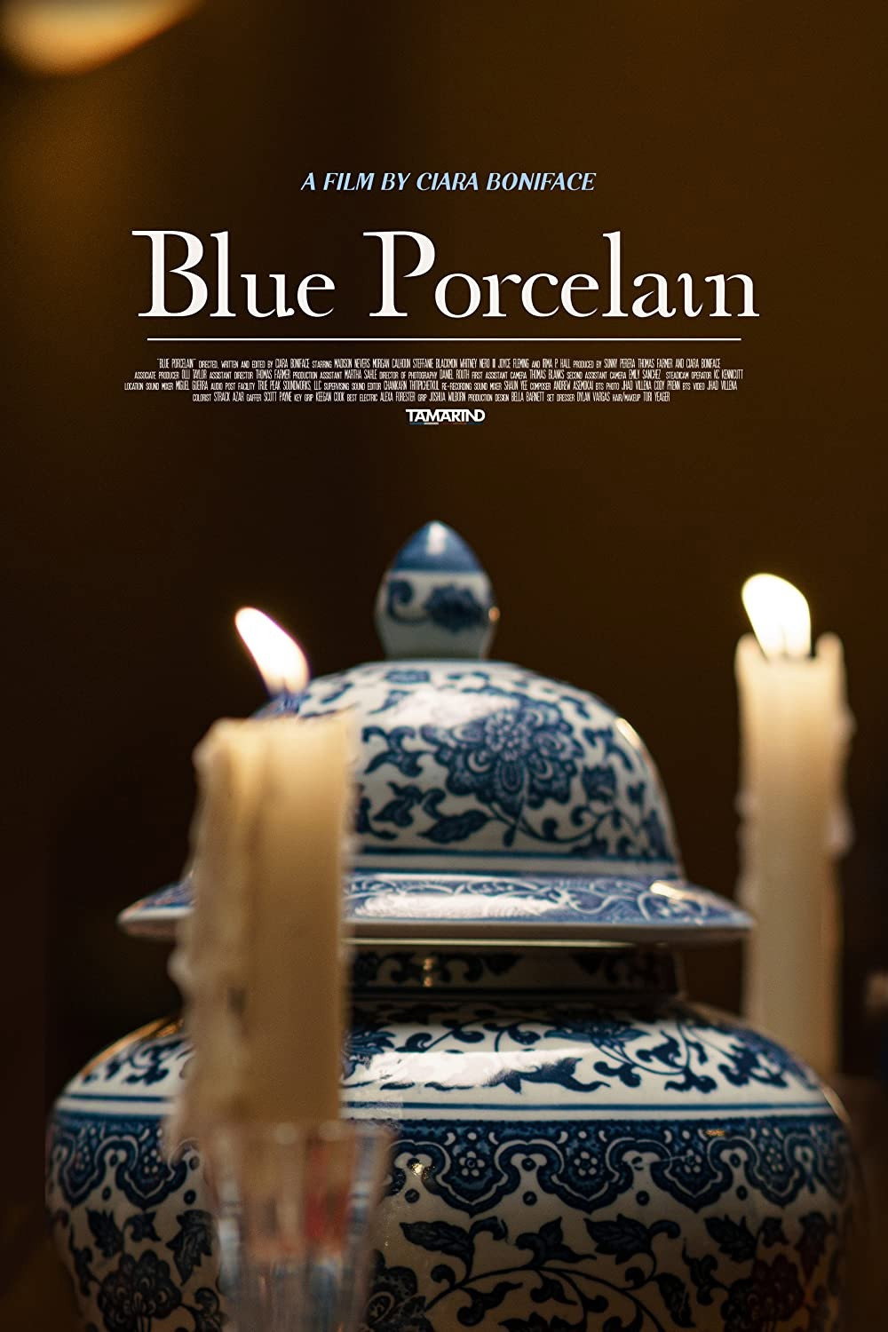 Blue Porcelain cover