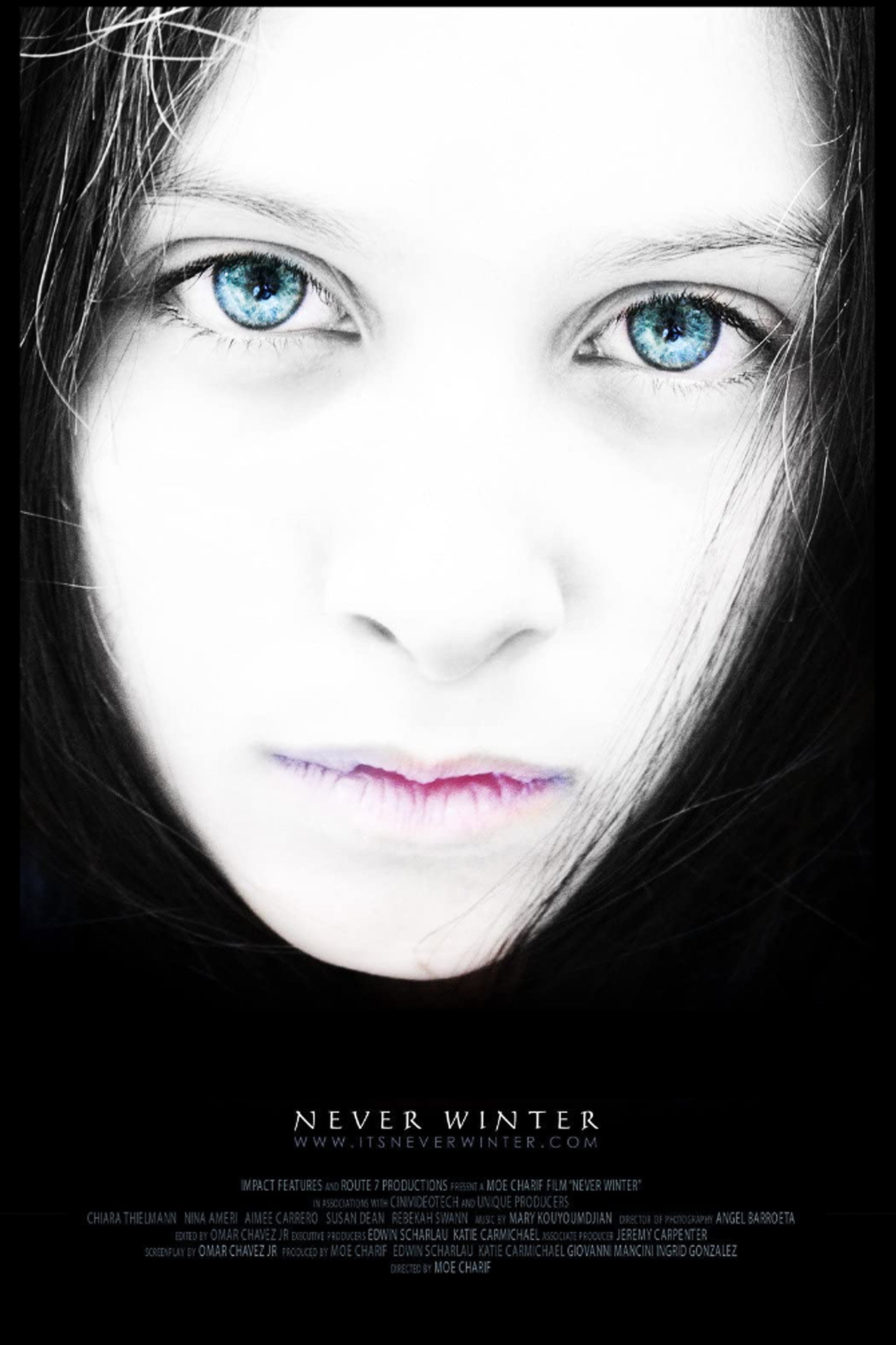 Never Winter cover