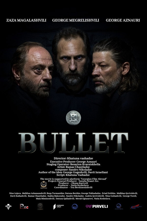 Bullet cover