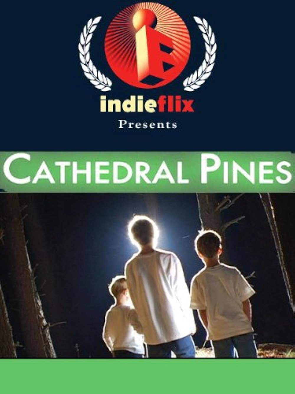 Cathedral Pines cover