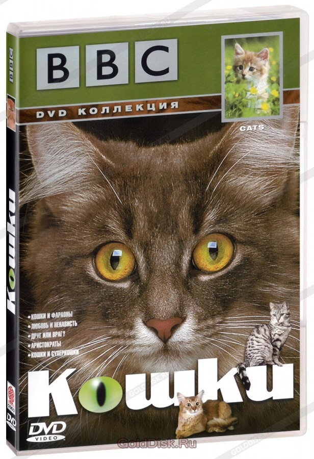 BBC Cats cover