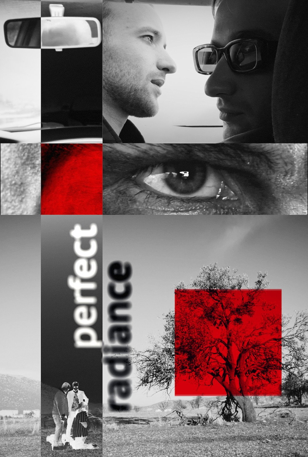 Perfect Radiance cover
