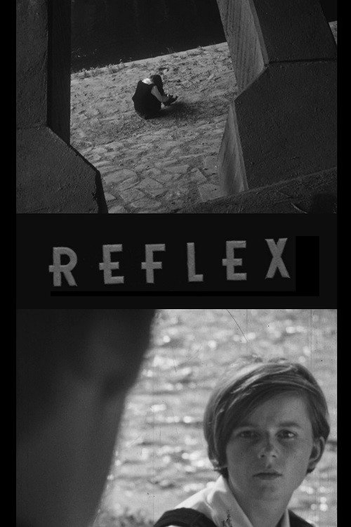 Reflex cover