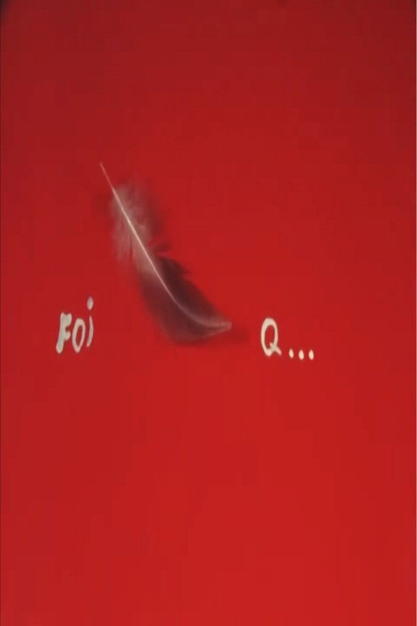 Foi Pena Q... cover