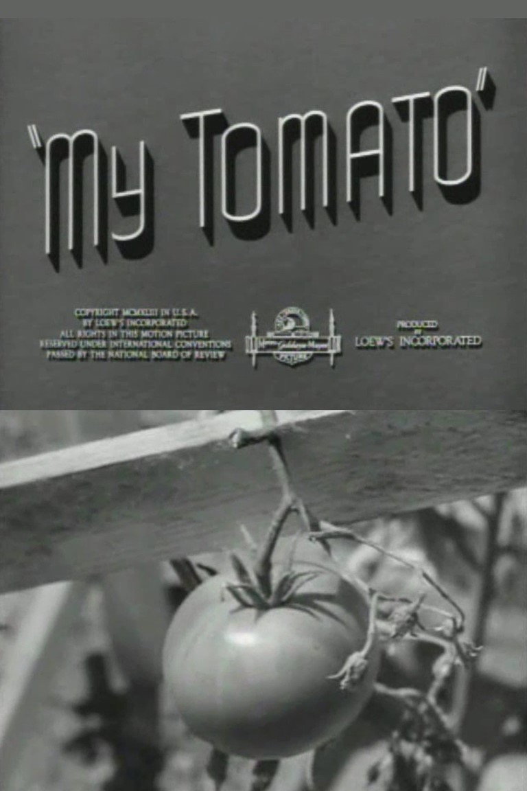 My Tomato cover