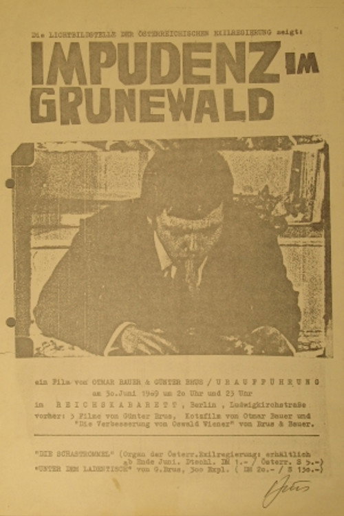 Impudence in Grunewald cover