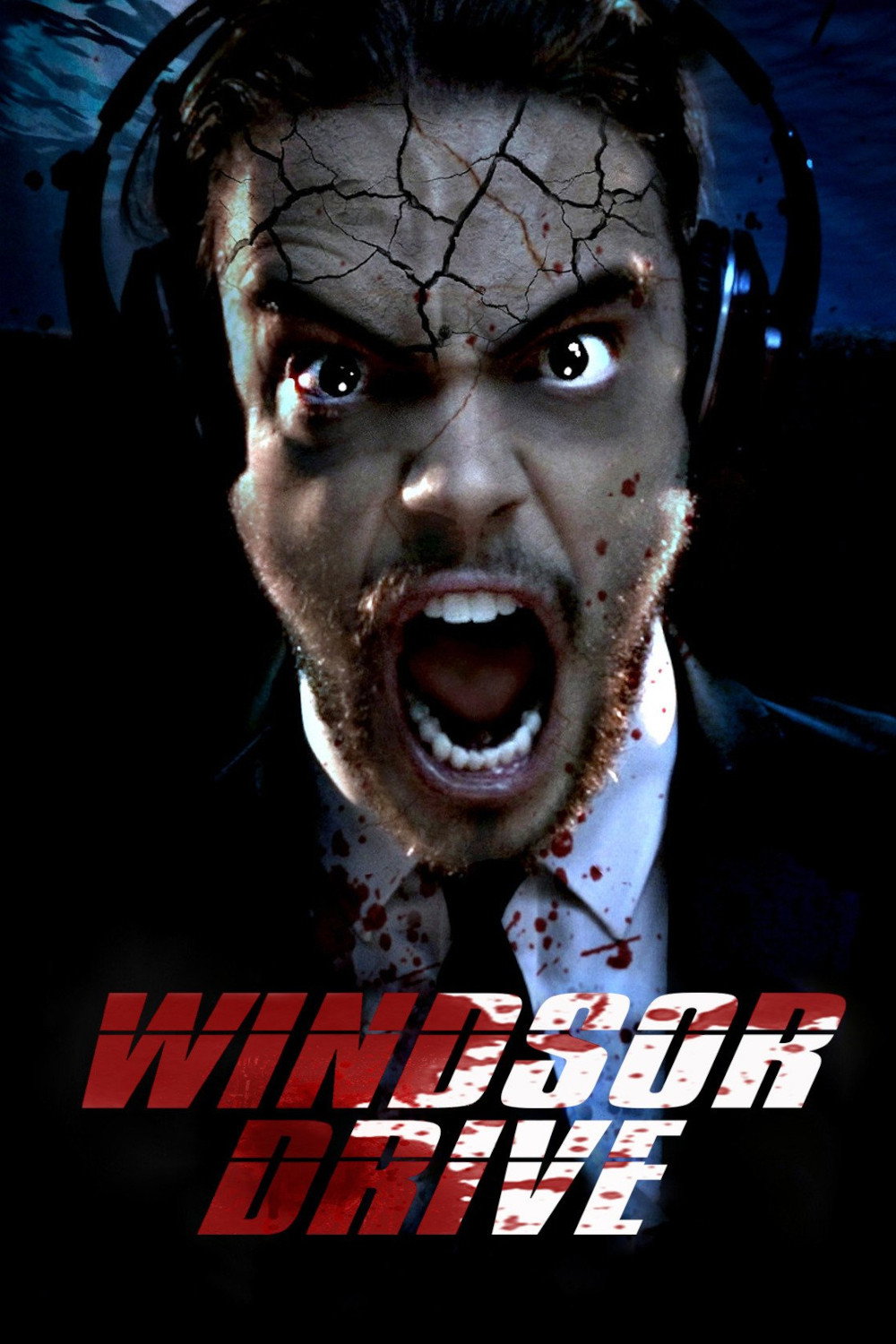 Windsor Drive cover