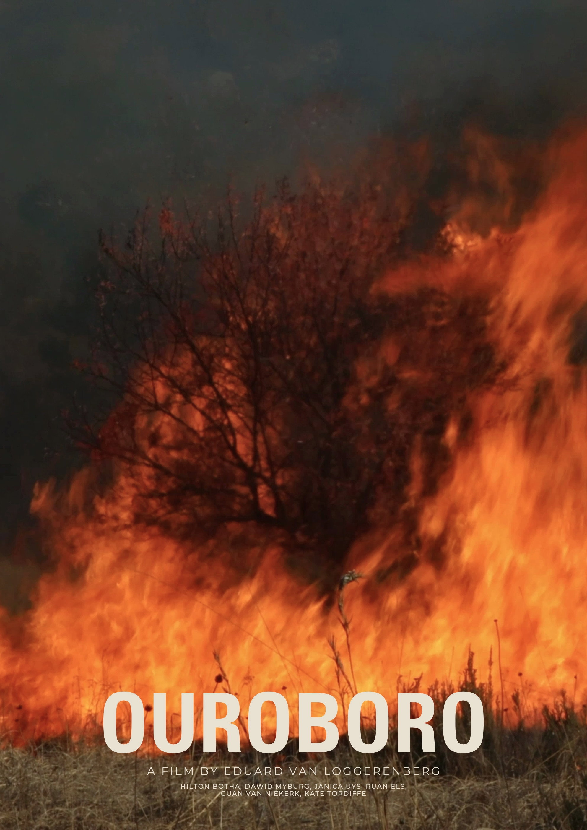 Ouroboro cover
