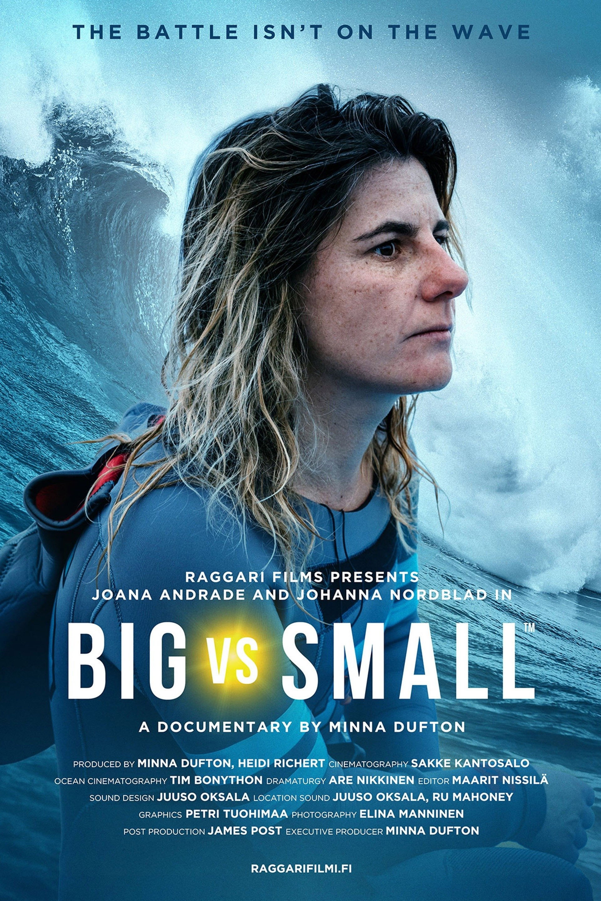 Big vs. Small cover