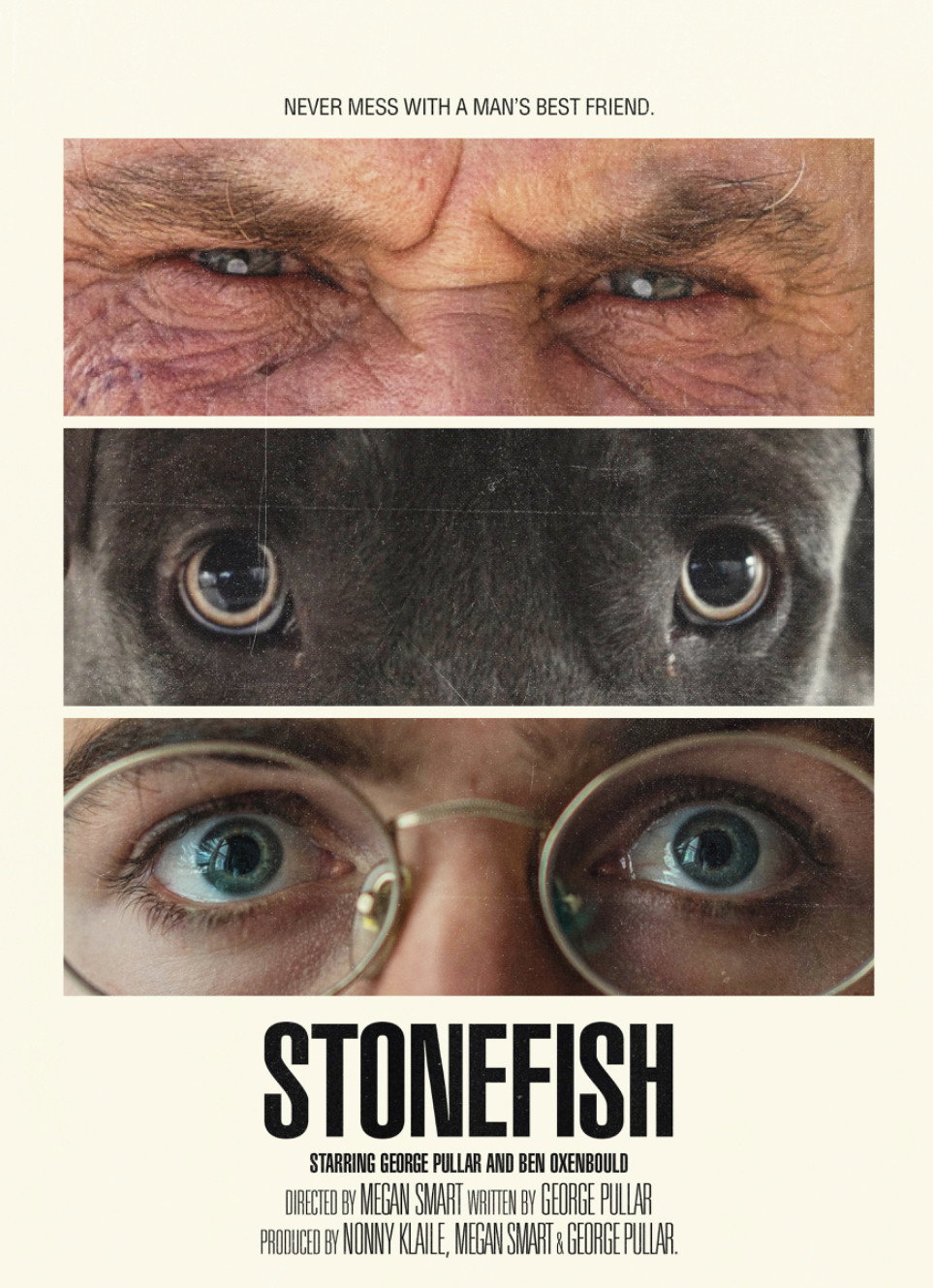Stonefish cover