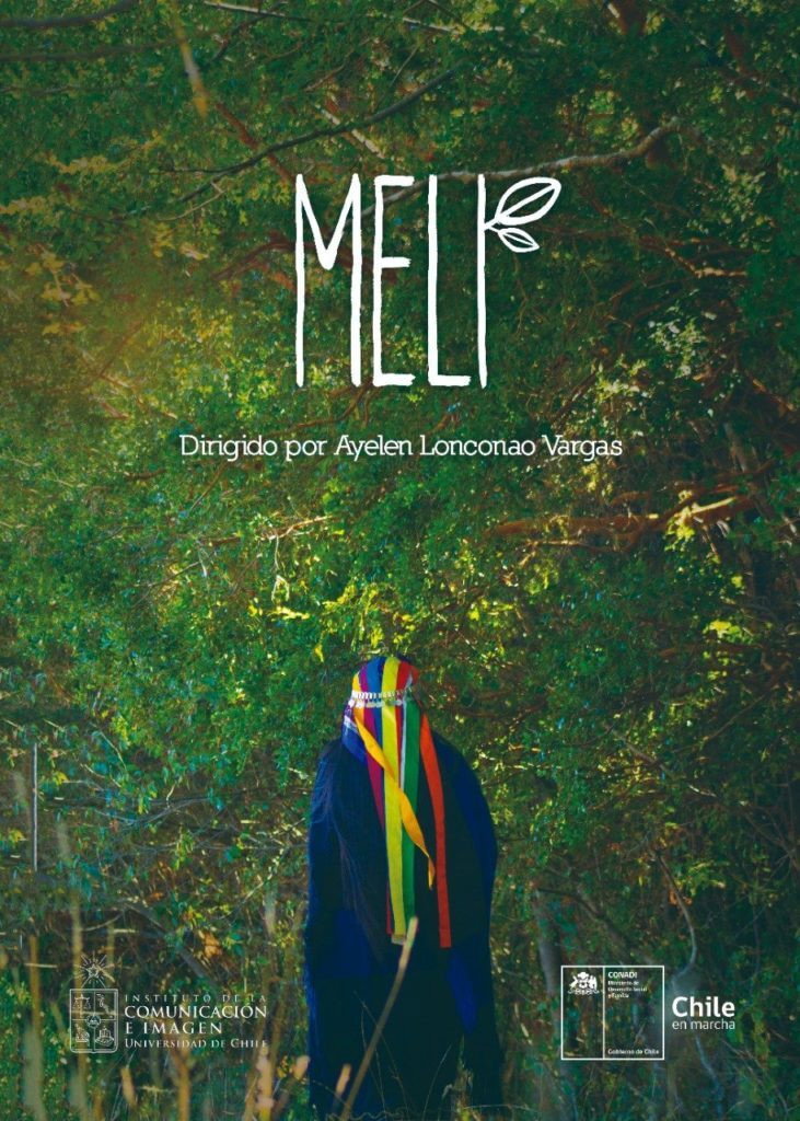 Meli cover