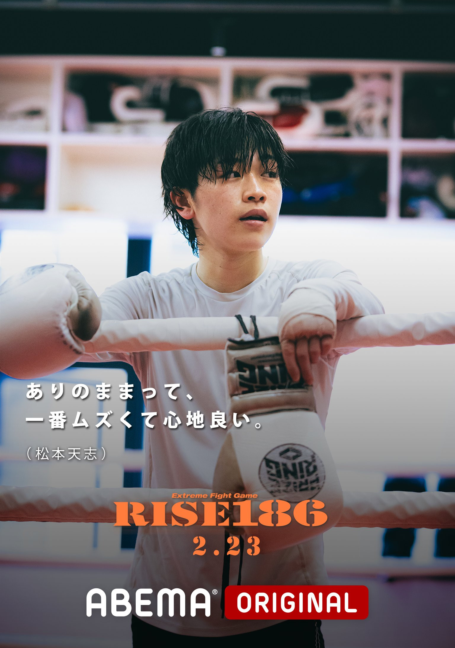 RISE 186 cover