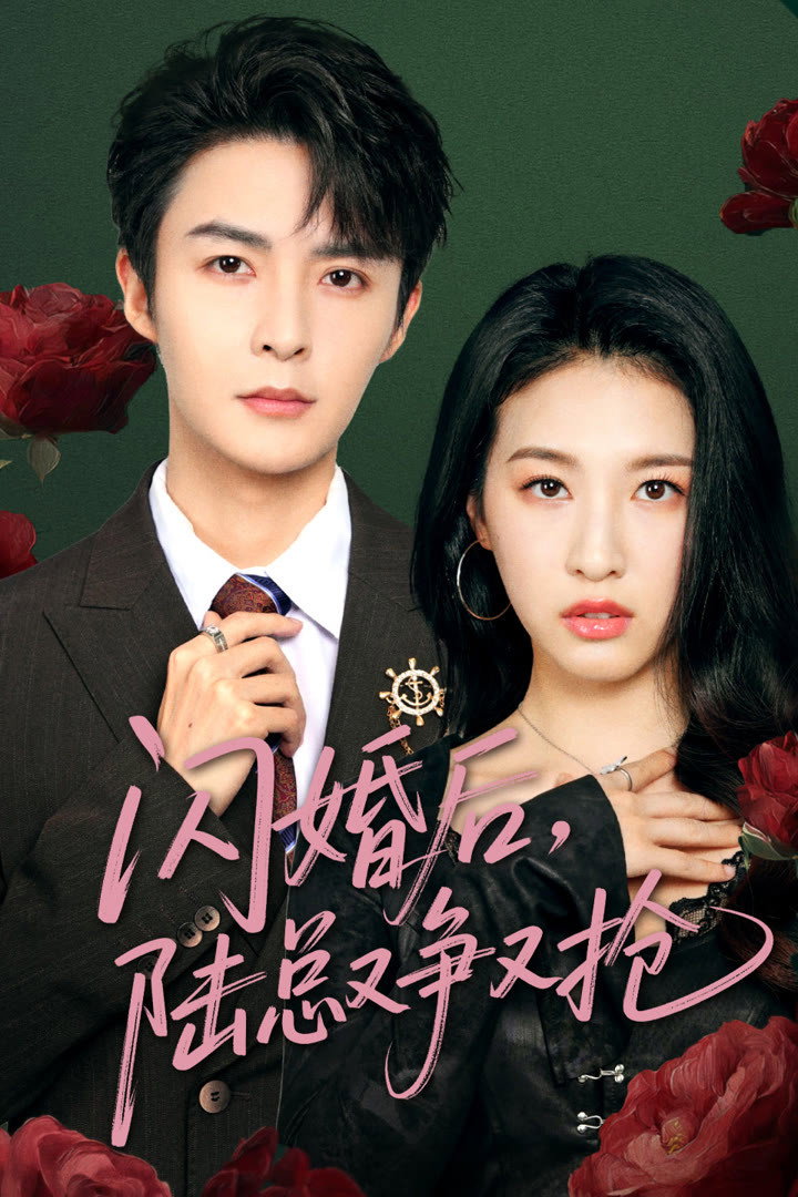 闪婚后陆总又争又抢 cover