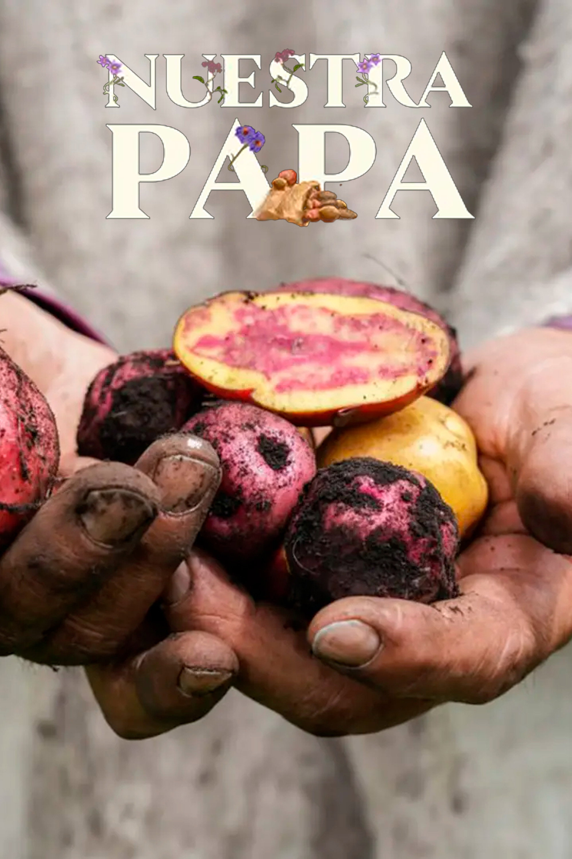 Nuestra papa cover