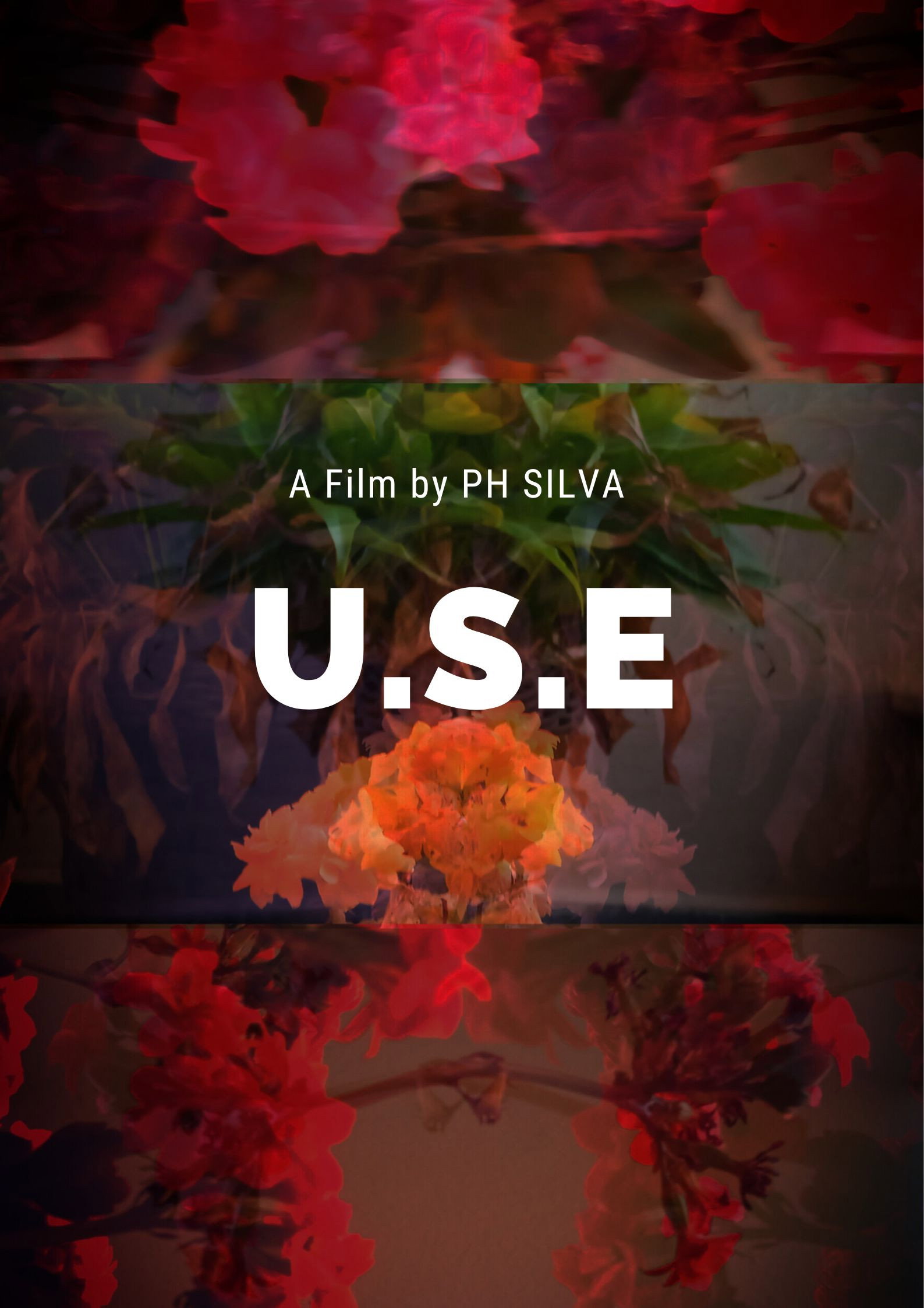U.S.E cover