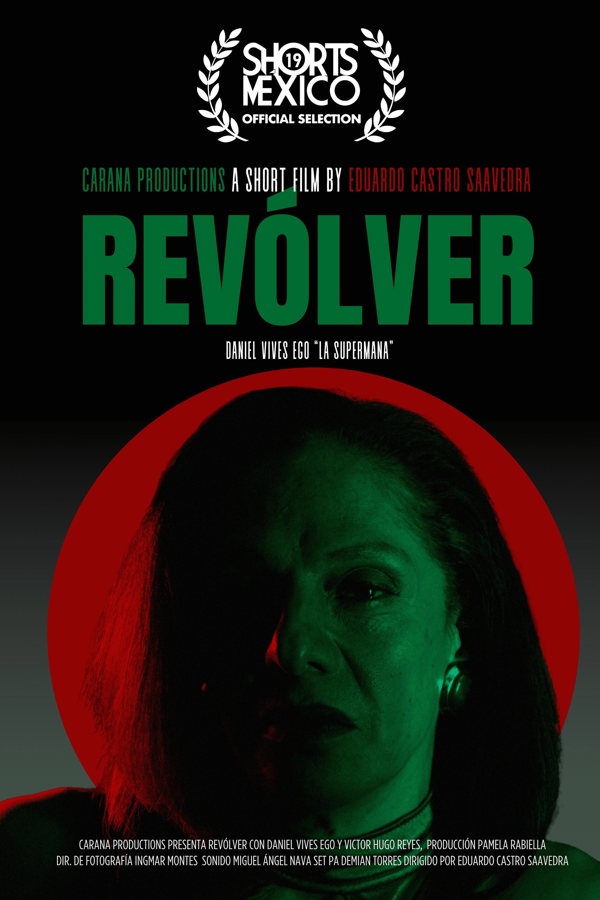 Revolver cover