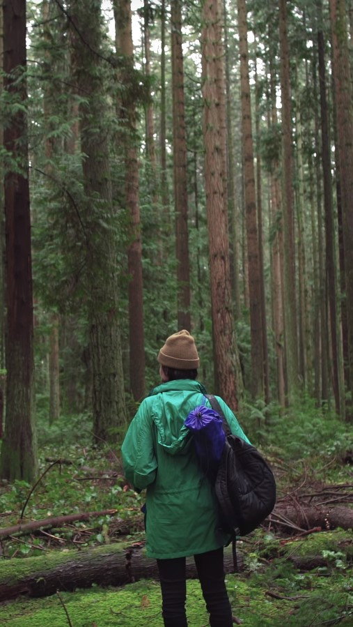 Forest Movie cover
