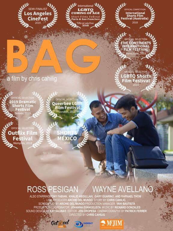 Bag cover