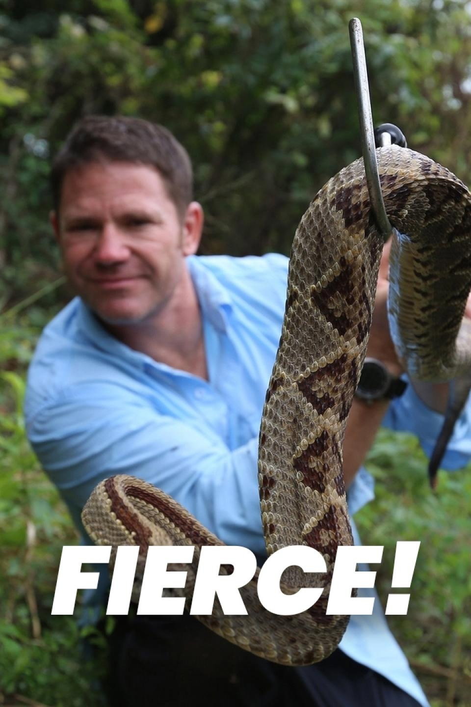 Fierce With Steve Backshall cover