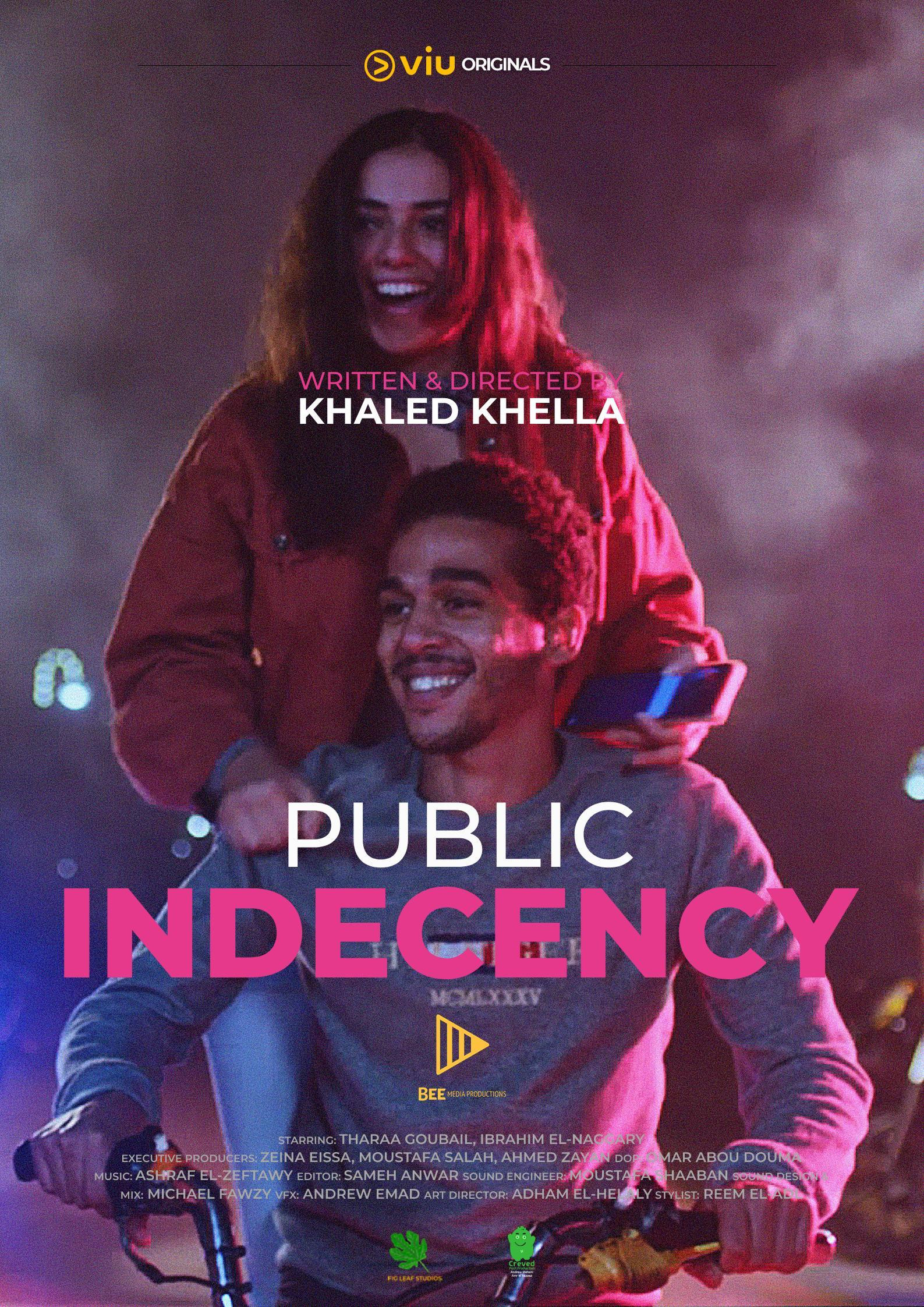 Public Indecency cover