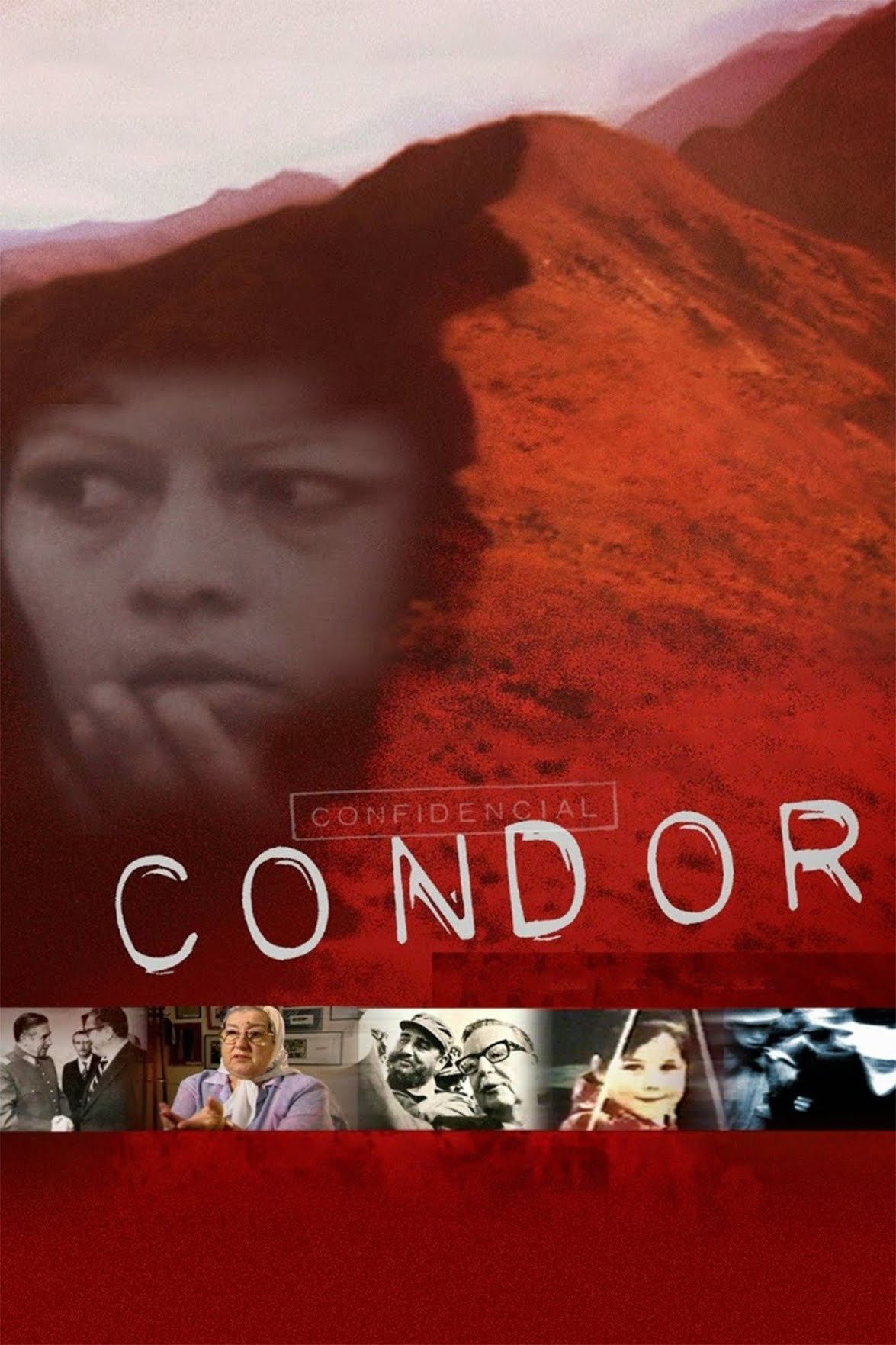 Condor cover