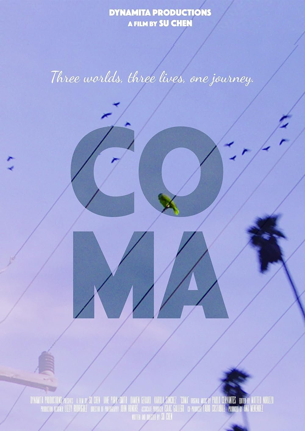 Coma cover