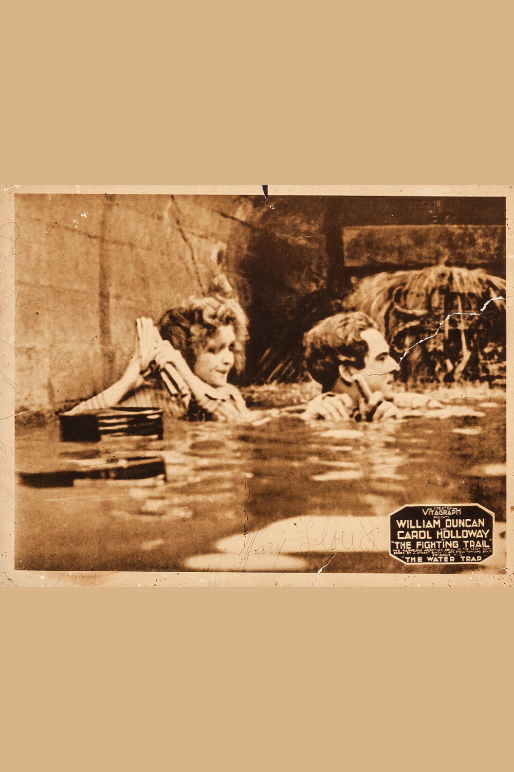 The Fighting Trail cover
