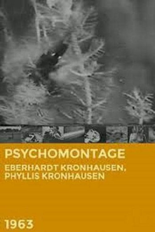 Psychomontage cover