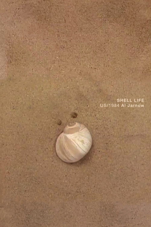 Shell Life cover