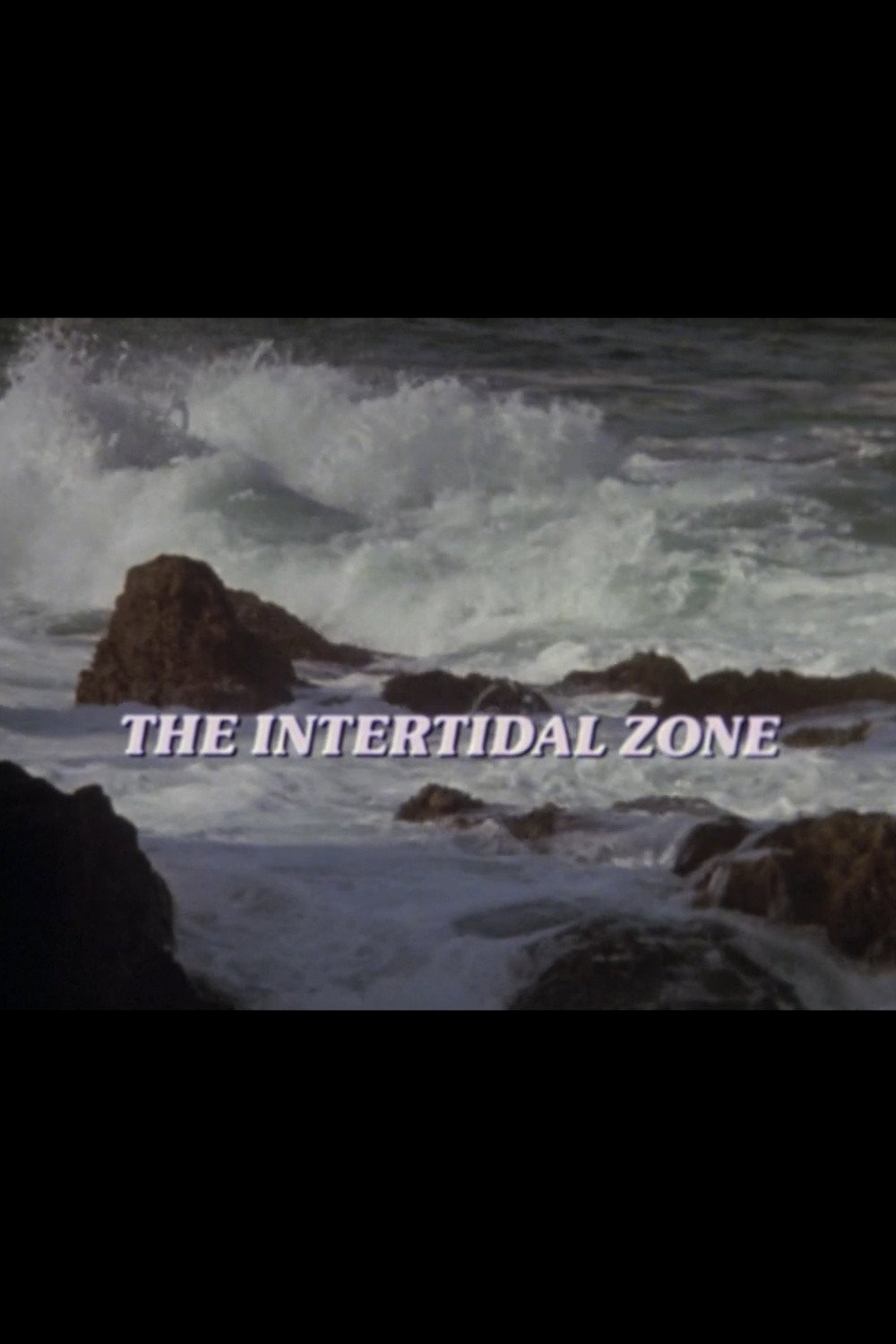 The Intertidal Zone cover
