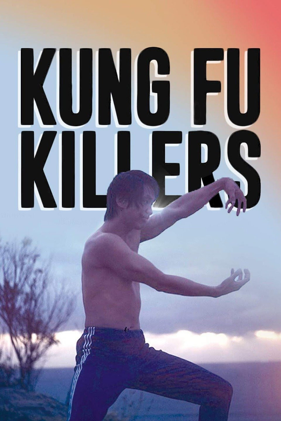 Kung Fu Killers cover