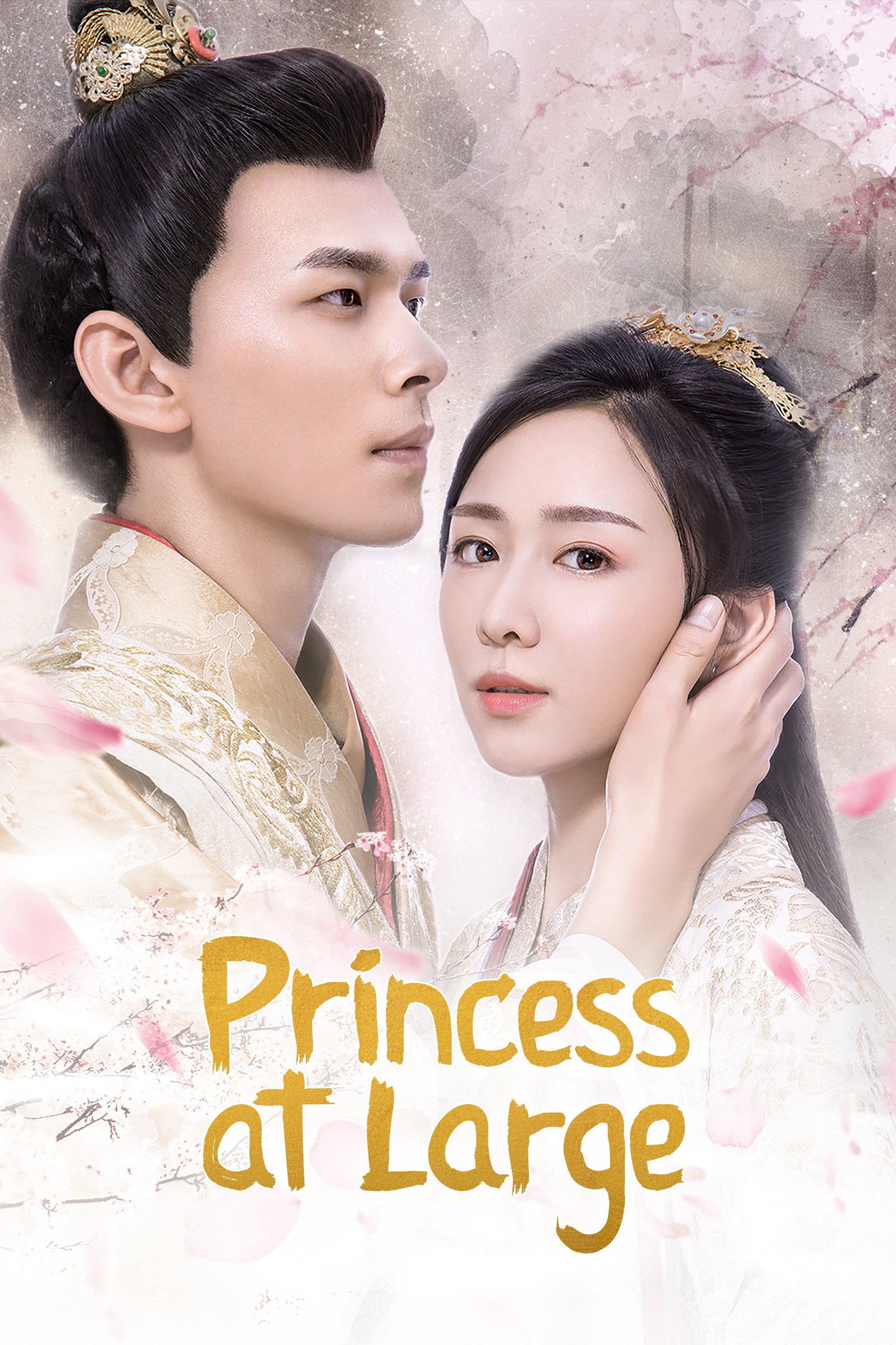 Princess at Large cover