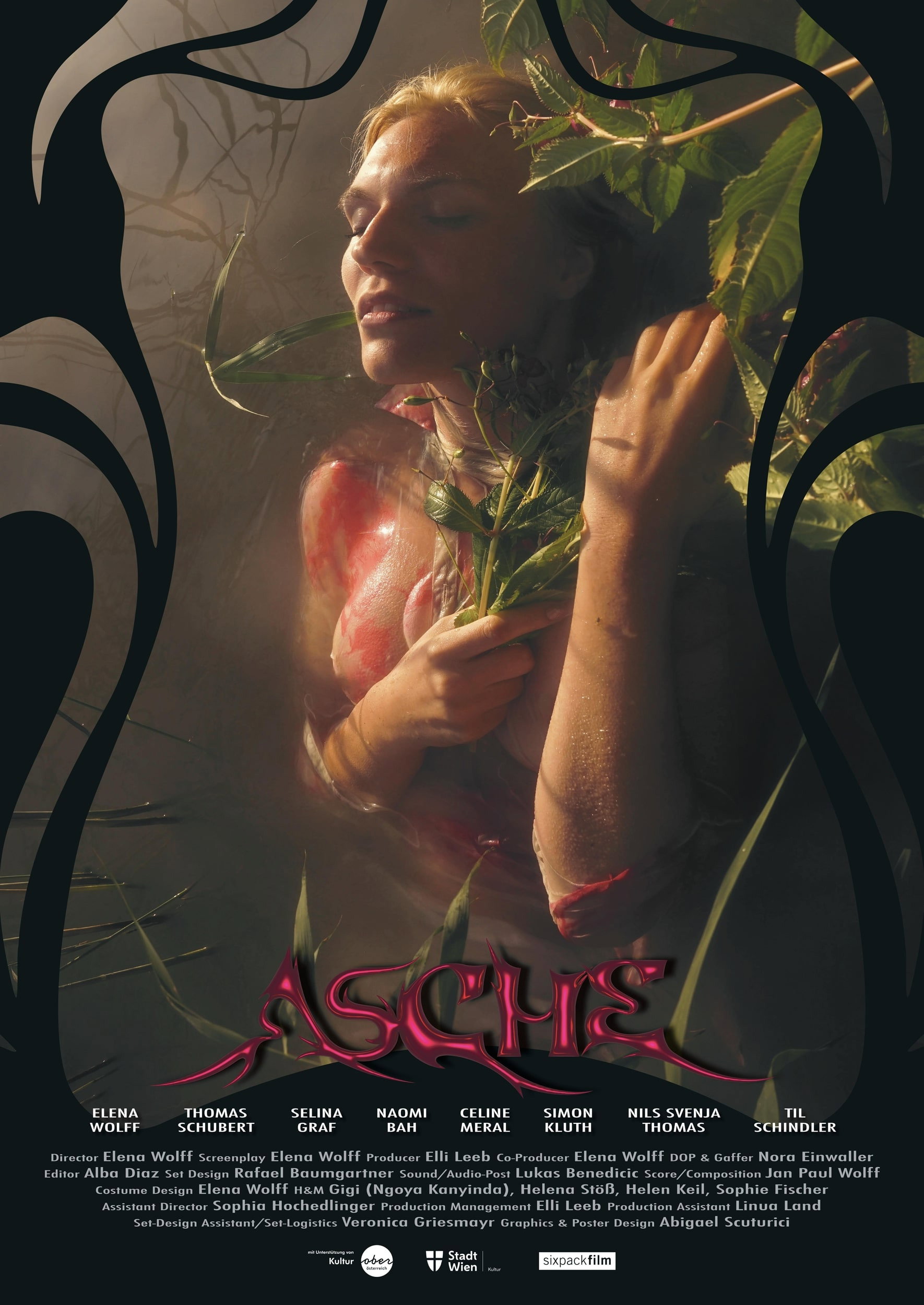 Asche cover