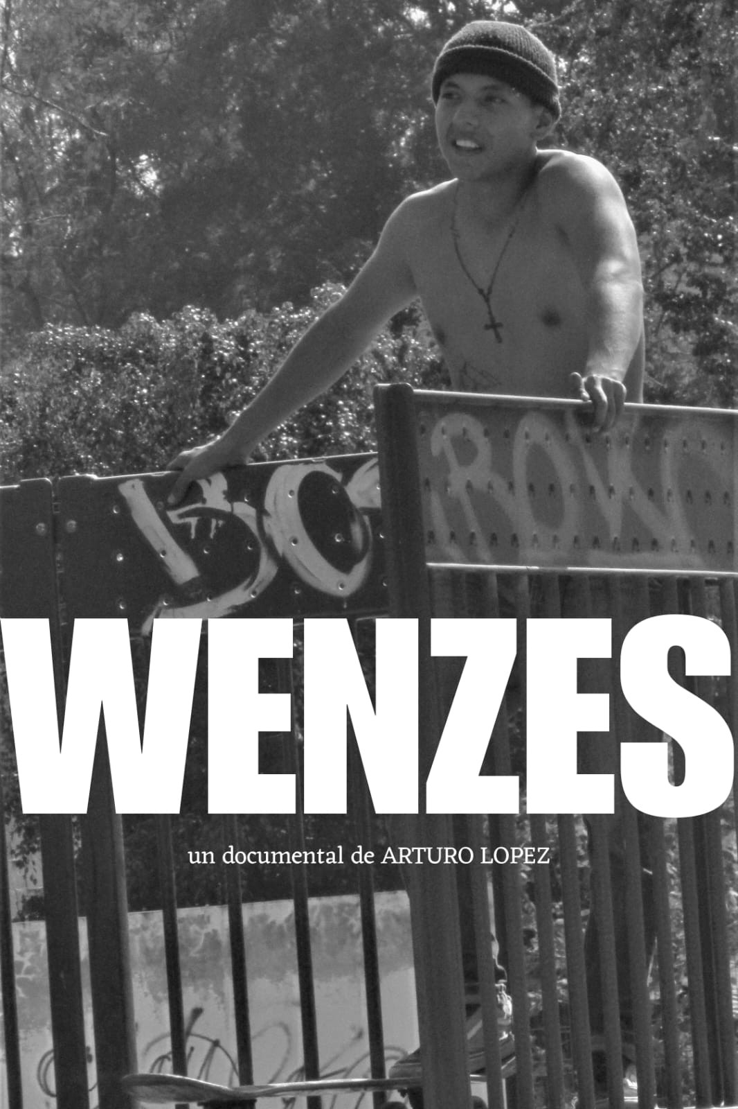 WENZES cover