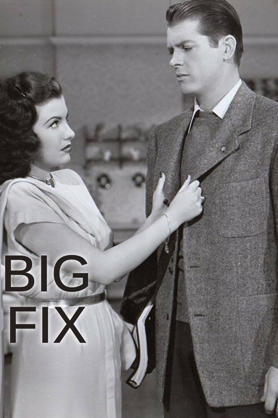 The Big Fix cover