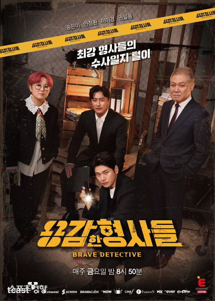 Brave Detectives cover