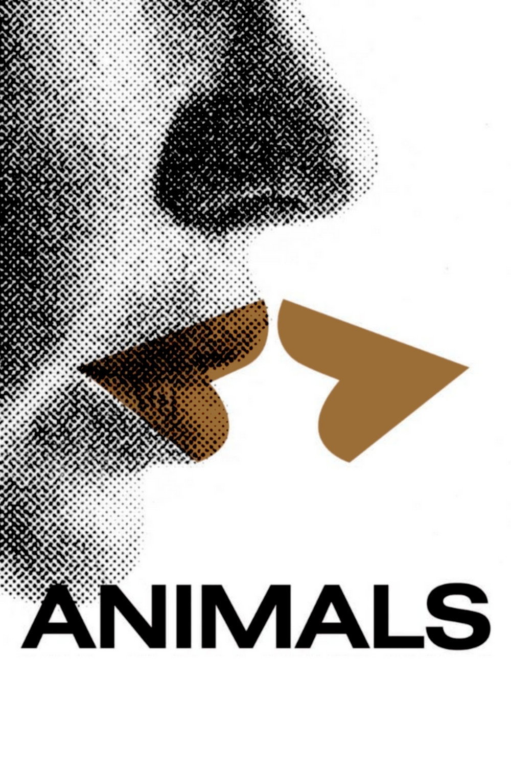 Animals cover