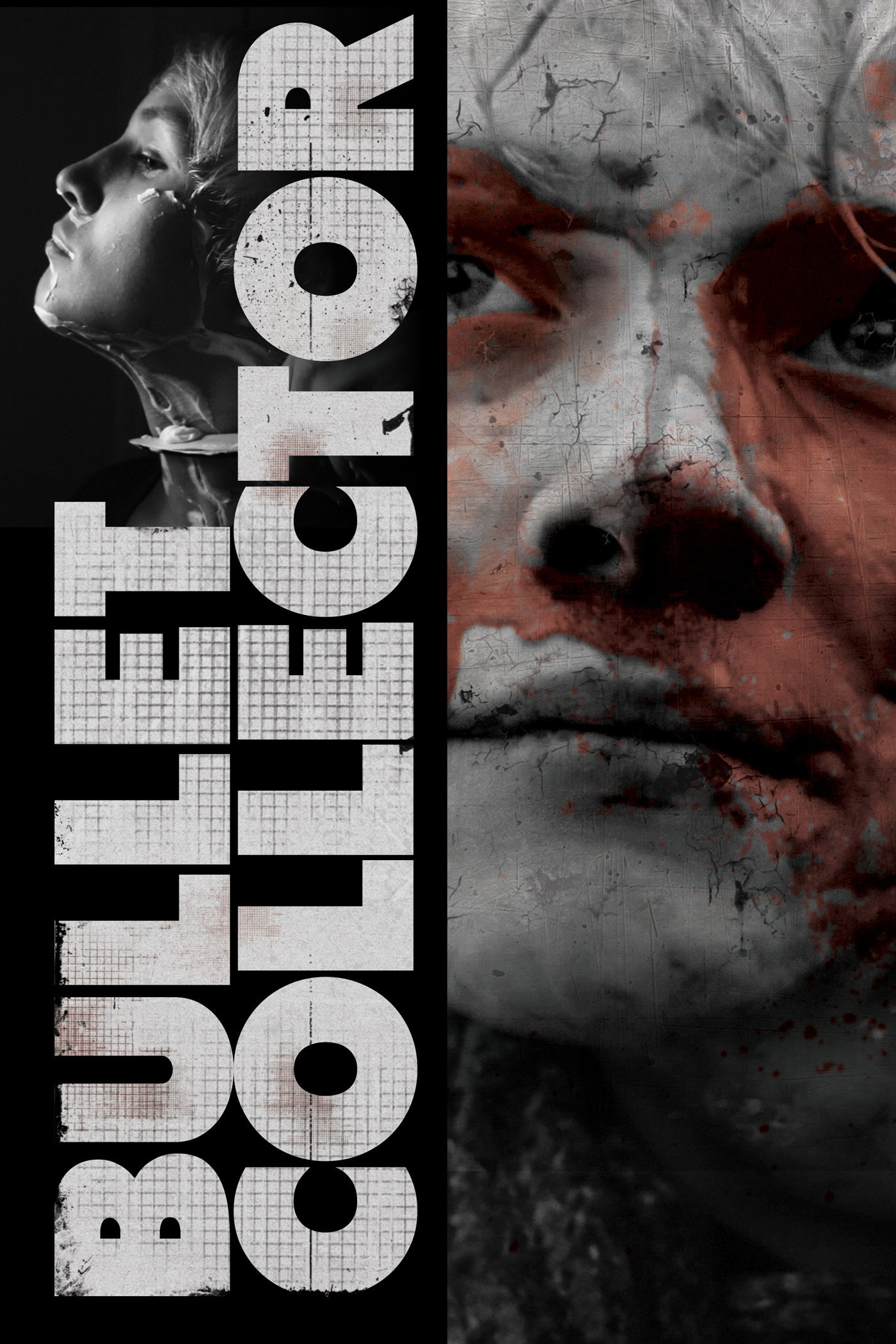 Bullet Collector cover