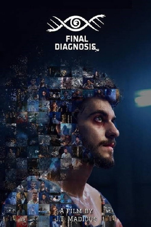 Final Diagnosis cover