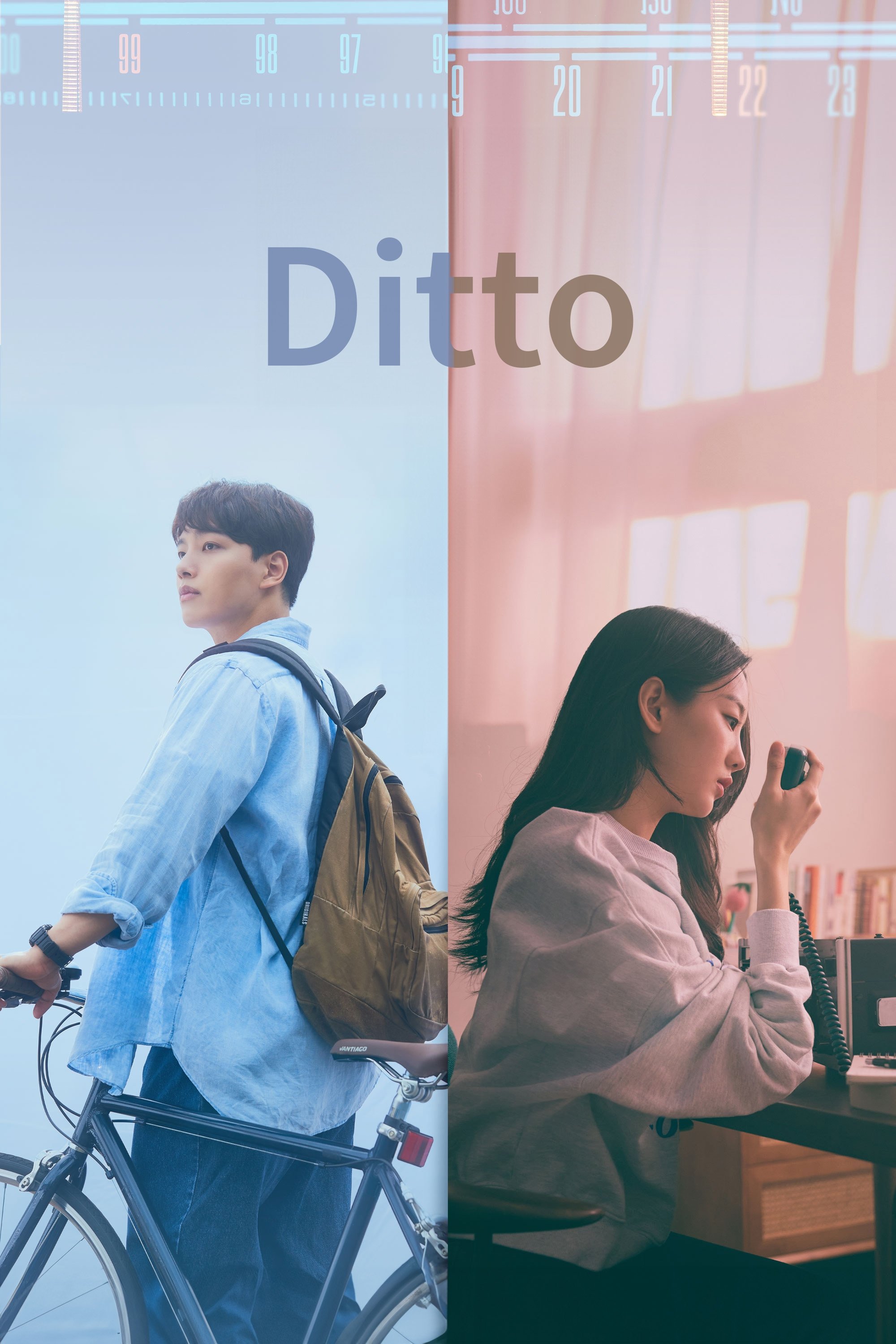 Ditto cover