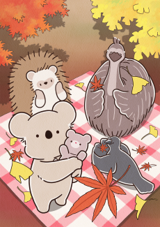Koala Enikki cover