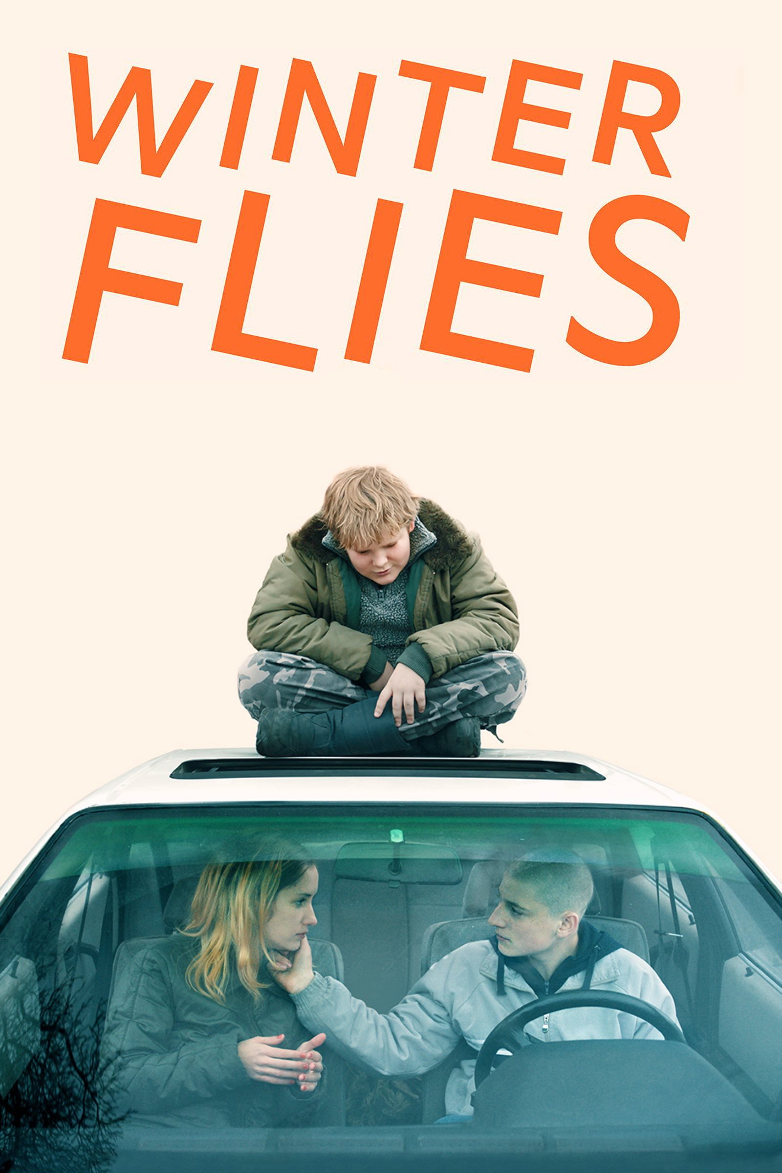 Winter Flies cover