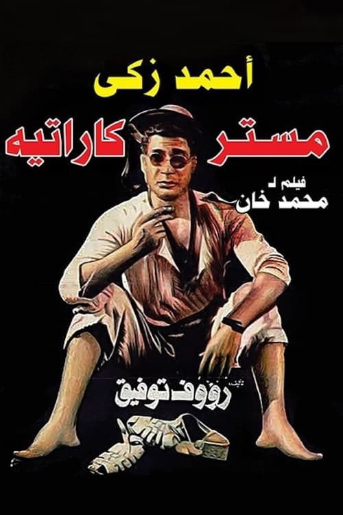 Mr. Karate cover