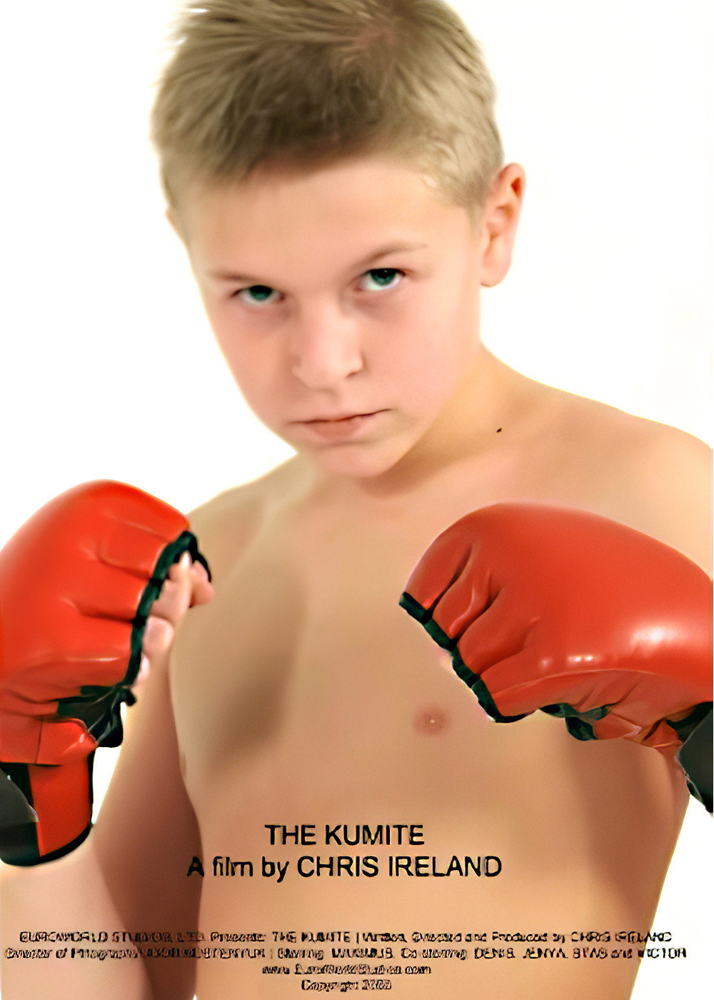 The Kumite cover