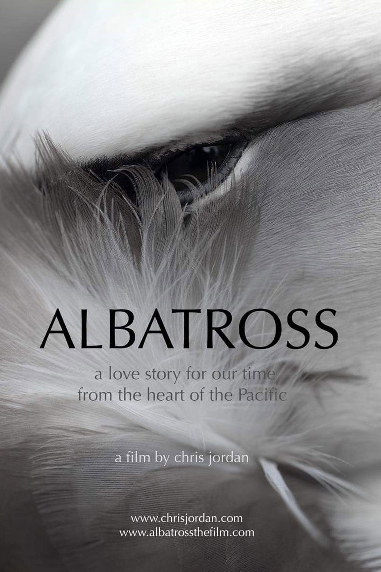 Albatross cover