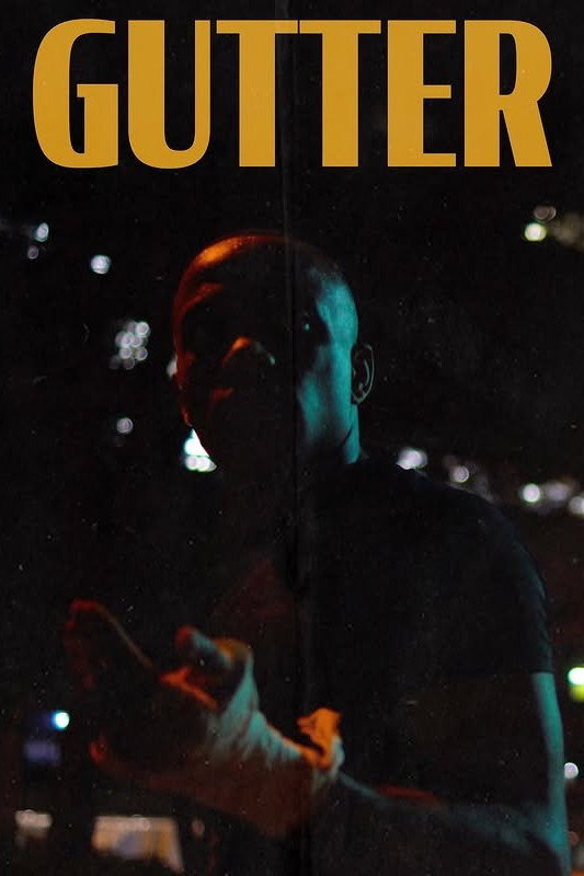Gutter cover