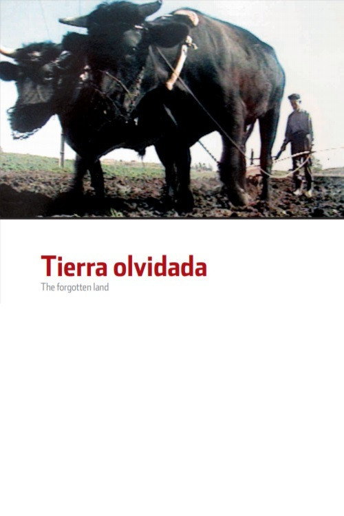 The Forgotten Land cover