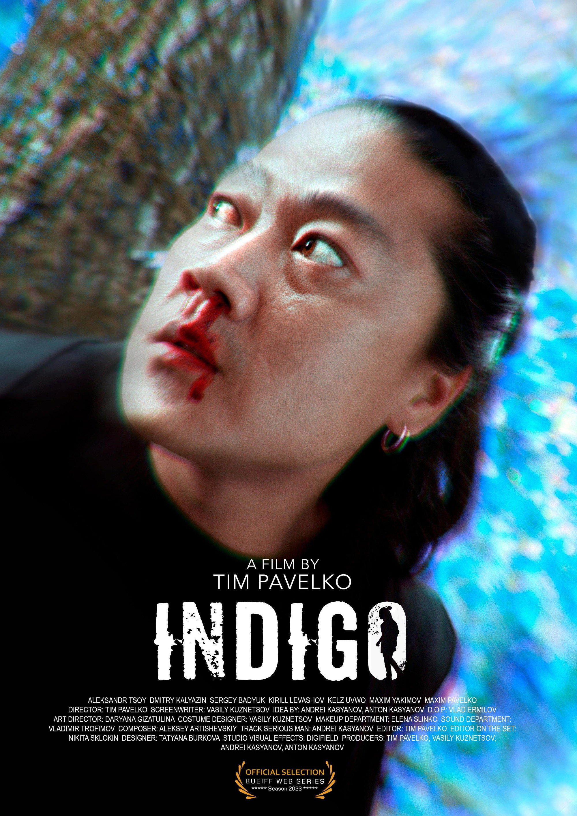 Indigo cover