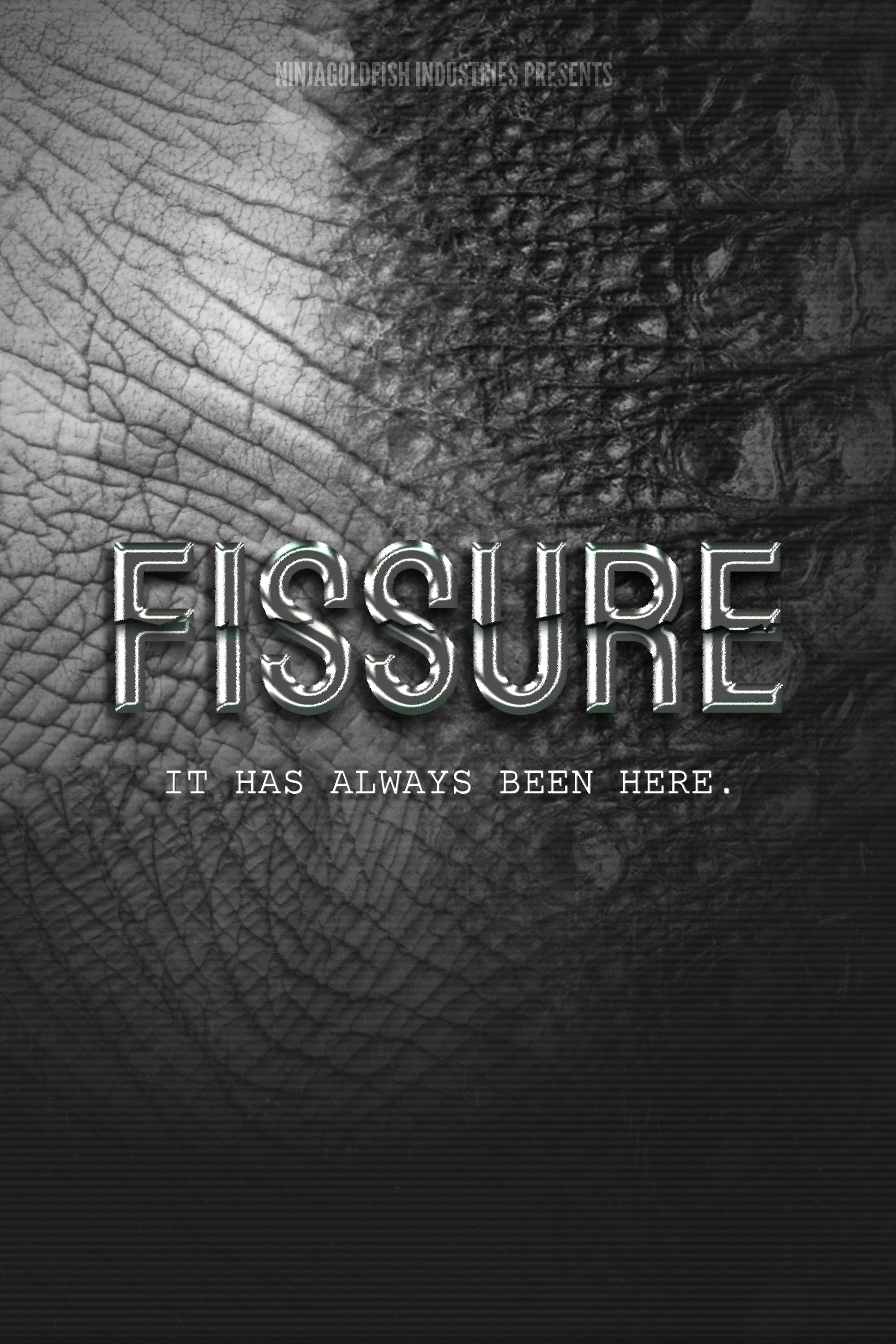 FISSURE cover